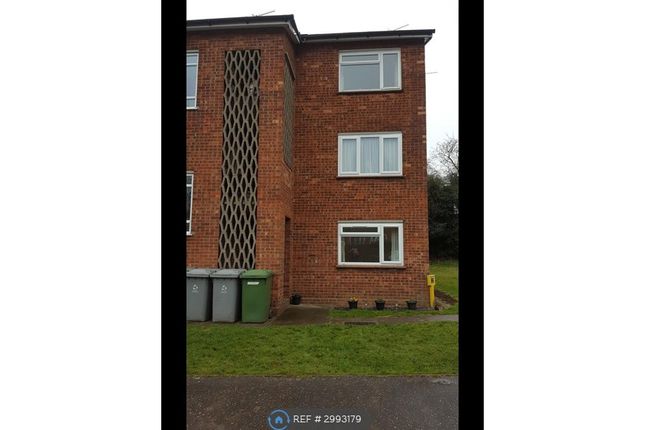 Lilian Close, Norwich photo 5