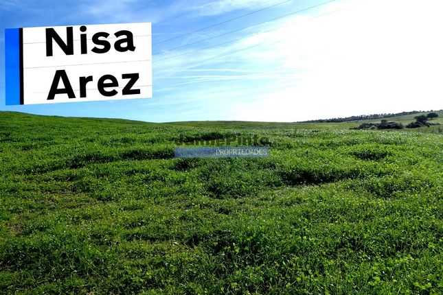 Thumbnail Farm for sale in 241Ha Agricultural Property With Dams, Portugal