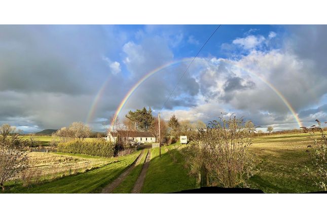 Thumbnail Cottage for sale in Auldgirth, Dumfries