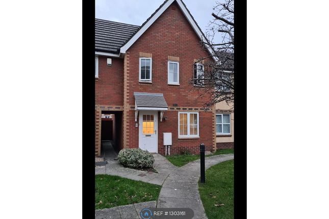 Thumbnail Terraced house to rent in Skenfrith Mews, Newport