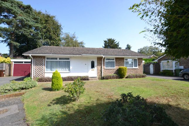 Thumbnail Detached bungalow for sale in Pound Close, Headley, Hampshire