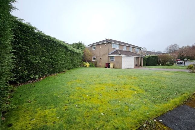 1, Rosebank, Bolton photo 3