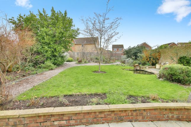 47, Ellingham Avenue, March photo 2
