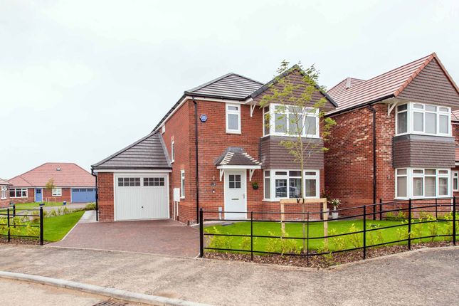 Thumbnail Detached house for sale in Mulberry Way, Bolsover