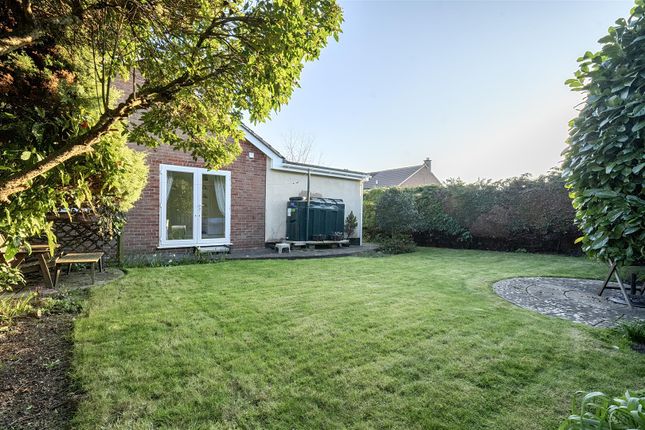 11, Highlands, Potterne photo 3
