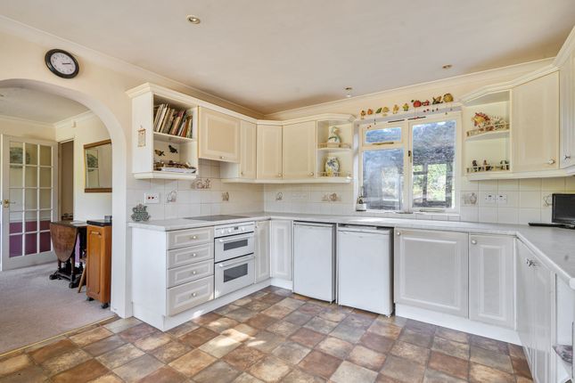 17 Oakfield, Petworth photo 4