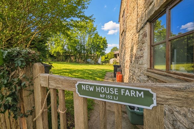 New House Farm, Wernrheolydd, Usk photo 2
