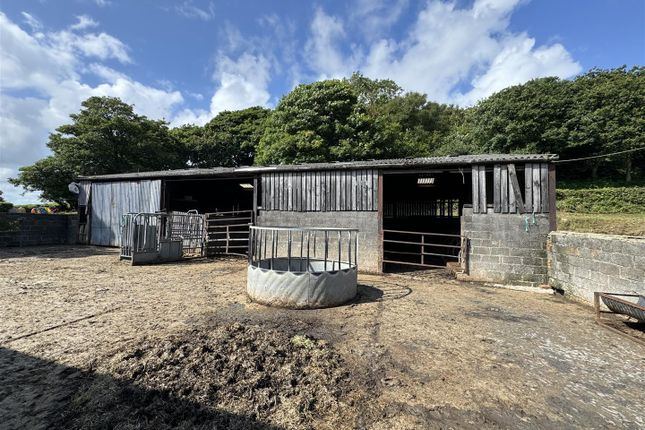 General Purpose Livestock Shed