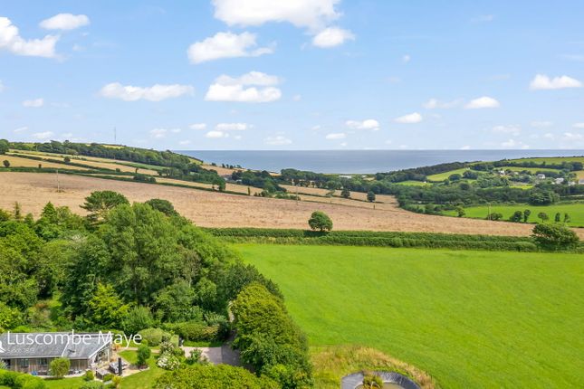 Old Cotmore Farm,Kittiwake, Kingsbridge photo 2