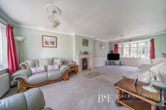 10 Arbour Lane photo 4