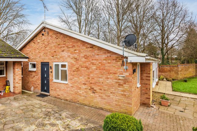Thumbnail Bungalow to rent in Wilders Close, Woking