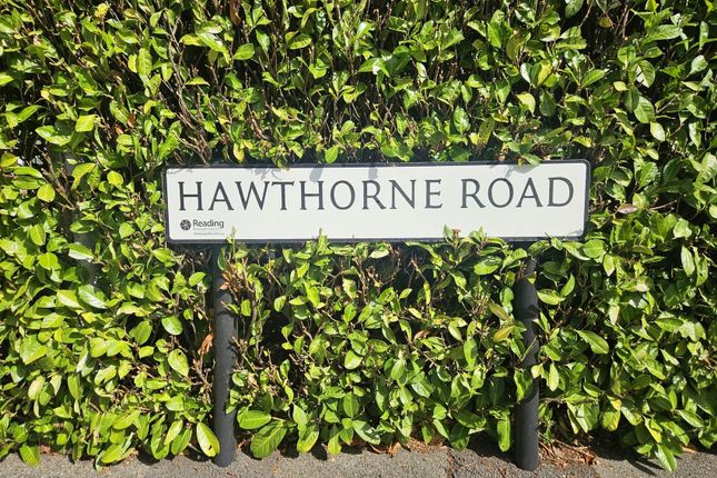 11, Hawthorne Road photo 4