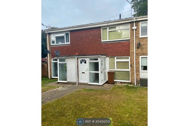 Thumbnail Terraced house to rent in Wildman Close, Gillingham