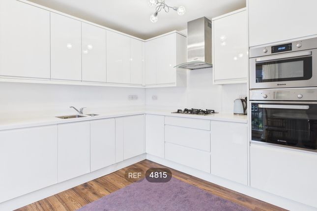 Kitchen / Living Area