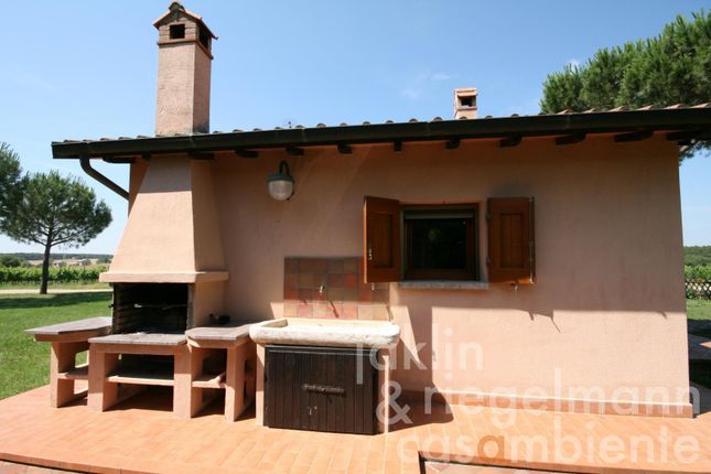 Farm for sale in Italy, Umbria, Perugia, Castiglione Del Lago