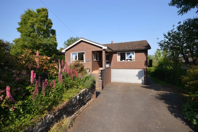 Detached bungalow for sale in Little Birch, Hereford