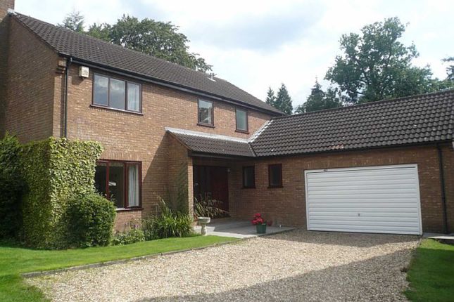 Detached house to rent in Woodhouse Eaves, Northwood