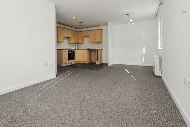 11 Cavan Drive, St. Helens photo 5