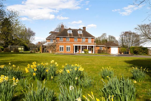 The Down House