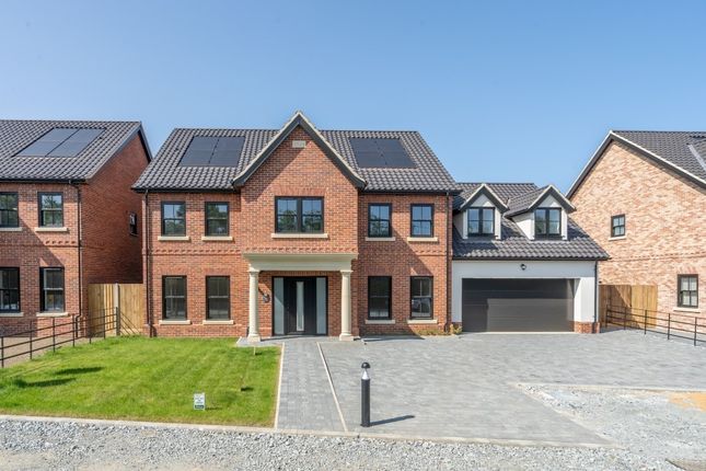 Front Of Plot 3