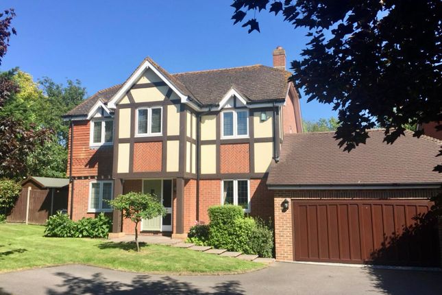 Thumbnail Detached house for sale in Jersey Close, Kennington, Ashford