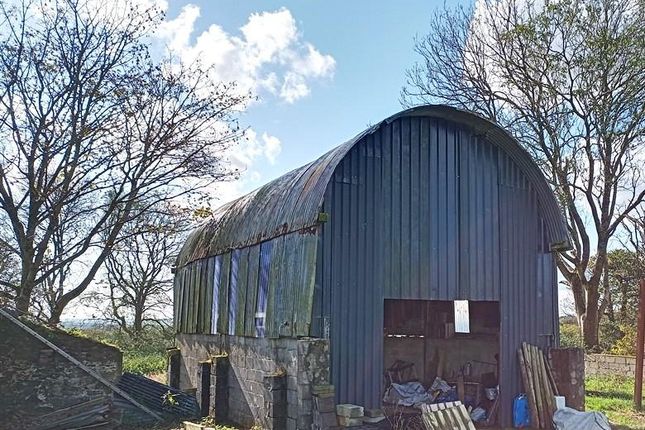 Dutch Barn