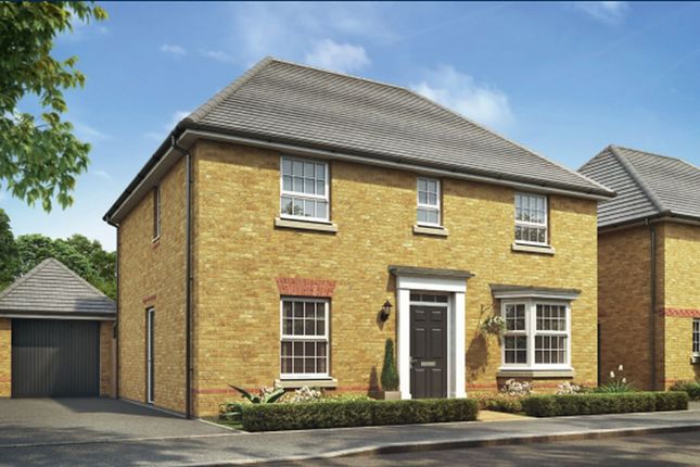 Thumbnail Detached house for sale in "Bradgate Special" at Belton Road, Barton Seagrave, Kettering