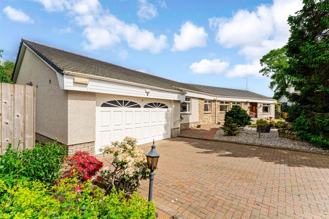 Thumbnail Detached bungalow for sale in Holmcrest, Crossford, Carluke