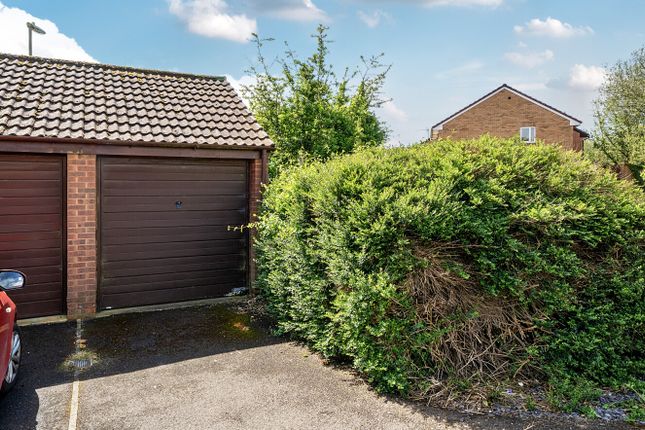 62, Alder Hill Drive, Southampton photo 4