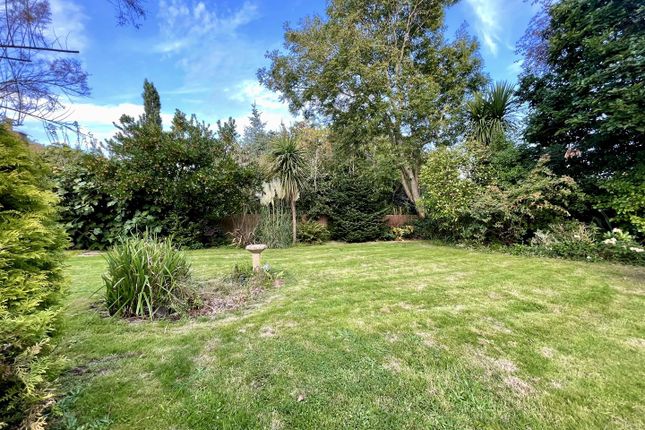 Fig Tree Cottage, 53, Lower Waites Lane, Fairlight photo 4