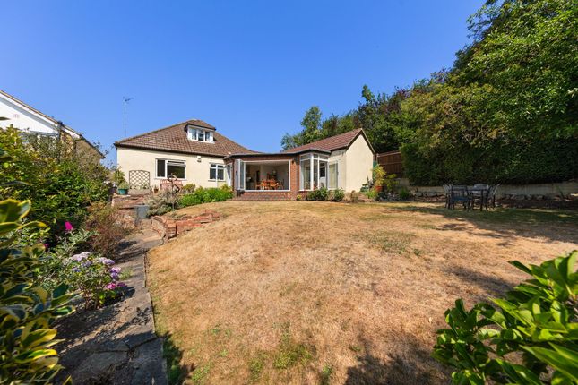 29 Downsview Road, London photo 4