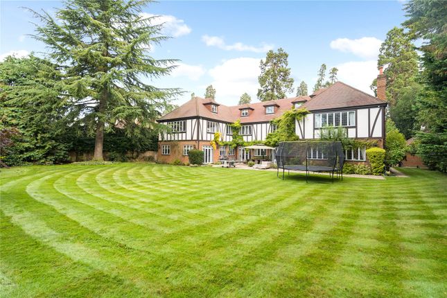 Thumbnail Detached house for sale in Kennel Avenue, Ascot, Berkshire