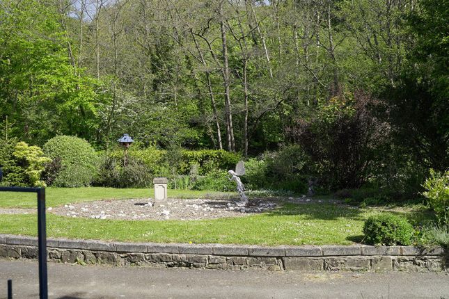 Felinpontfaen, Aberystwyth photo 3