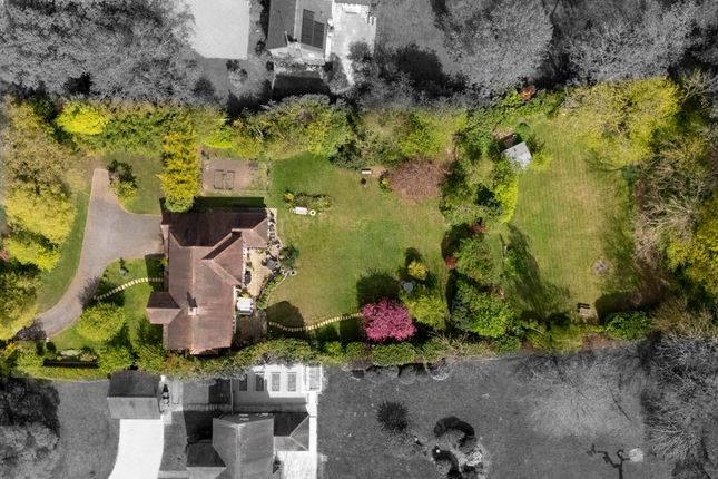 Deringwood, Smarden Road, Pluckley photo 3