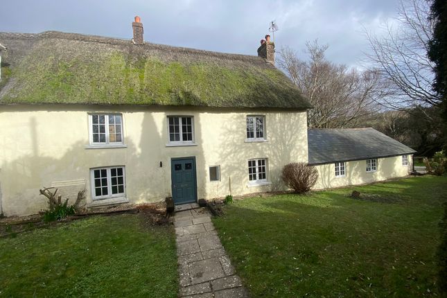 Thumbnail Cottage to rent in North Street, Bere Regis, Nr Wareham