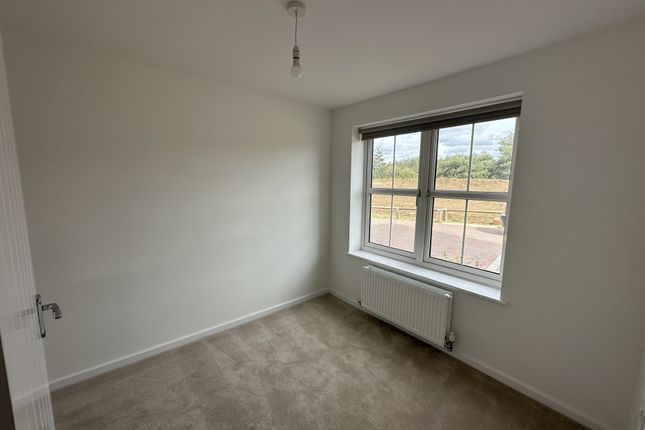 15, Peterborough photo 3
