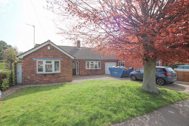 Thumbnail Detached bungalow to rent in Ipswich Road, Colchester