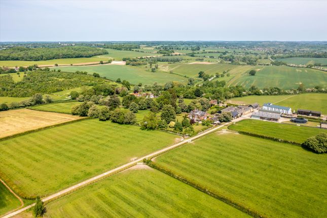 Thumbnail Farm for sale in Latchford, Standon, Hertfordshire