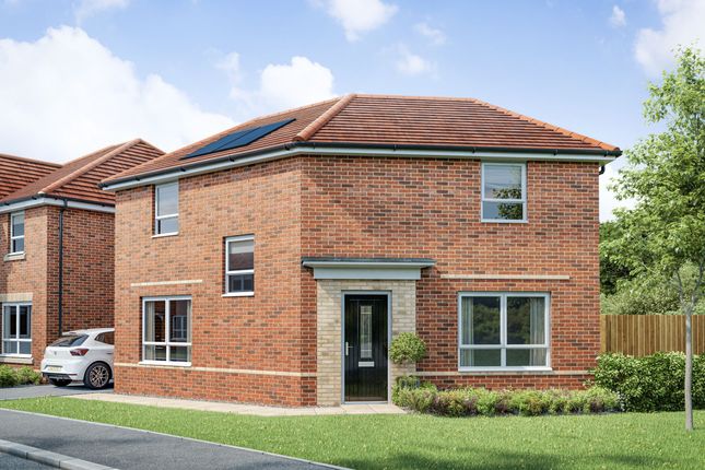 Thumbnail Detached house for sale in "Ancona" at Bent House Lane, Durham