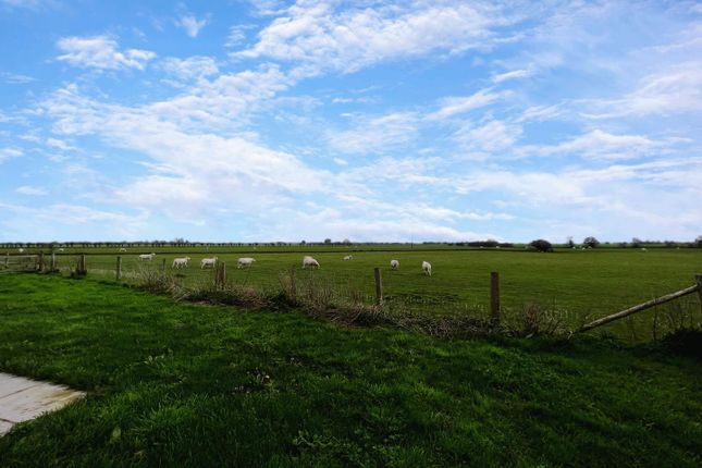 Detached bungalow for sale in School Road, St. Mary In The Marsh, Romney Marsh