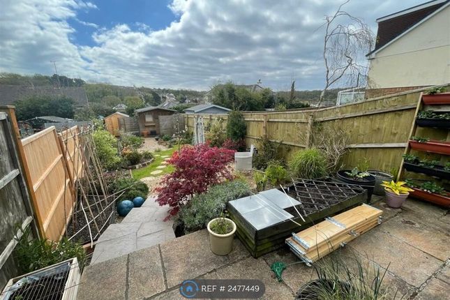 Garden View From Bedroom Window.