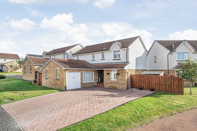 Untitled (1 Of 1).Jpg