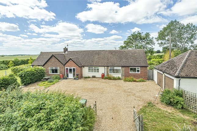 Thumbnail Bungalow for sale in Robins Folly, Thurleigh, Bedford, Bedfordshire