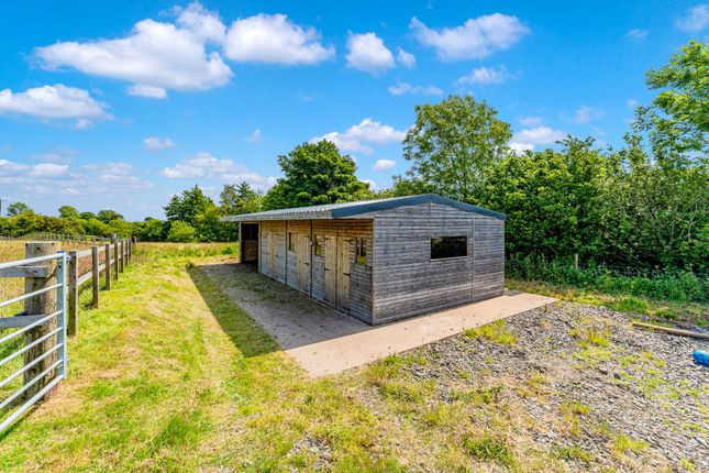 Timber Stable