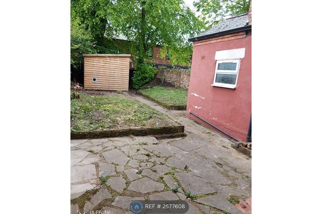 Garden From Flat