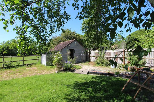 Link-detached house for sale in Sway Road, Brockenhurst, Hampshire