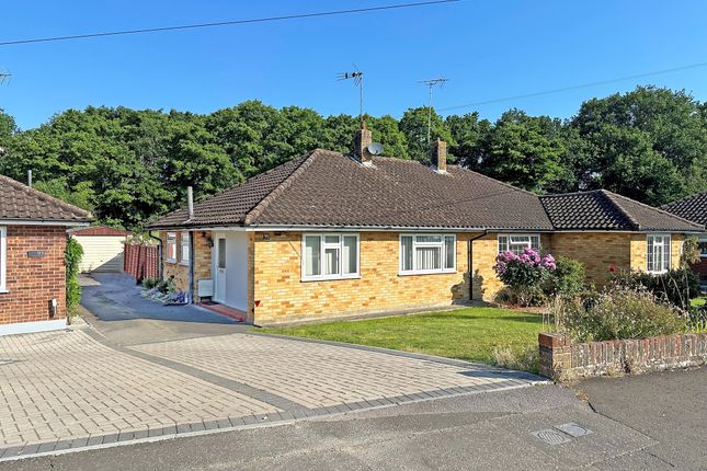 Thumbnail Semi-detached bungalow to rent in Cootes Avenue, Horsham