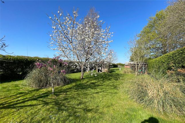 261, Trowbridge Road, Wiltshire photo 2