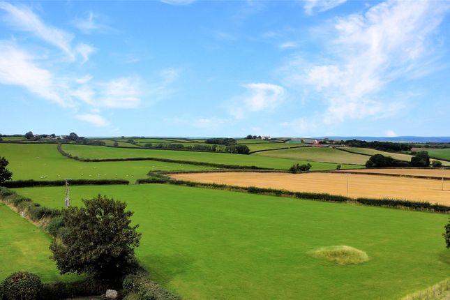 5, Lower Lovacott, Barnstaple photo 4