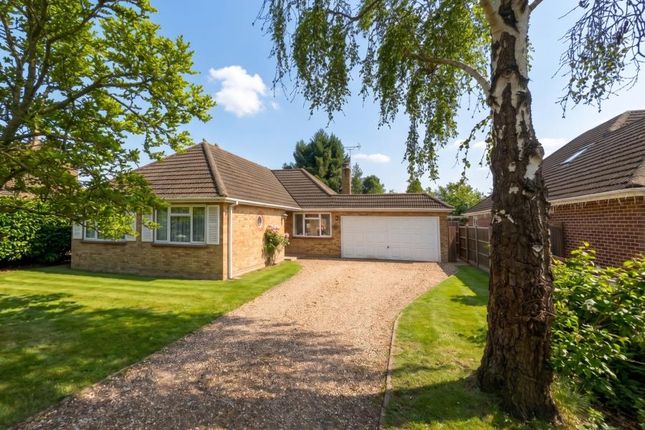 3-bed house on 3, Cuckoo Lane, Woking, £2,100/mo